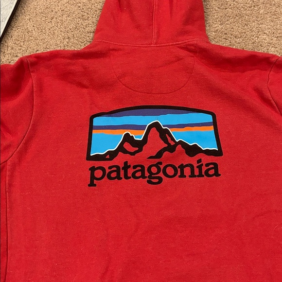 Patagonia Hoodie - Picture 5 of 5